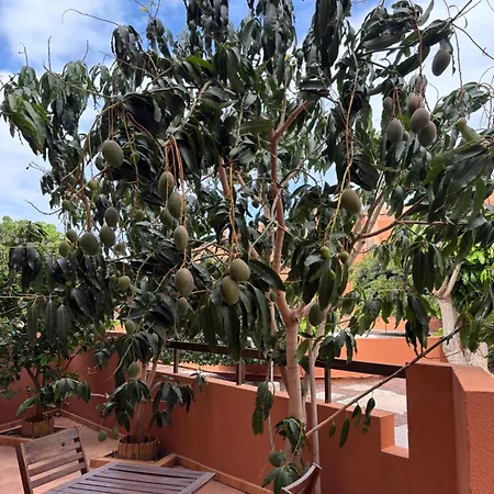 Paradise Apartment *